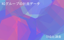 NSグループの社員データ,平均年収517万