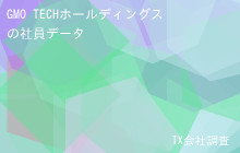 GMO TECHホールディングスの社員データ,平均年収702万