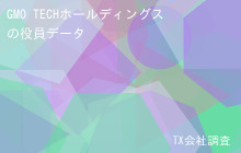 GMO TECHホールディングスの役員データ,平均役員報酬500万