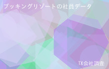 ブッキングリゾートの社員データ,平均年収383万