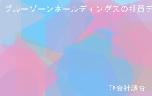 ブルーゾーンホールディングスの社員データ,平均年収805万