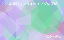 辻・本郷ITコンサルティングの業績・財務, 売上21億24百万