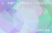 辻・本郷ITコンサルティングの社員データ,平均年収620万