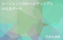 エージェントIGホールディングスの社員データ,平均年収662万