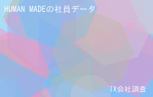 HUMAN MADEの社員データ,平均年収619万