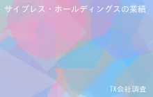サイプレス・ホールディングスの業績・財務, 売上112億88百万