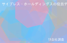 サイプレス・ホールディングスの役員データ,平均役員報酬4,294万