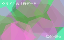 ウリドキの社員データ,平均年収486万